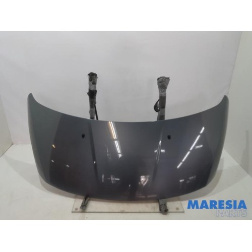 Peugeot - 3008 - Bonnet