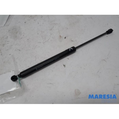 Renault - Clio - Bonnet gas strut, left