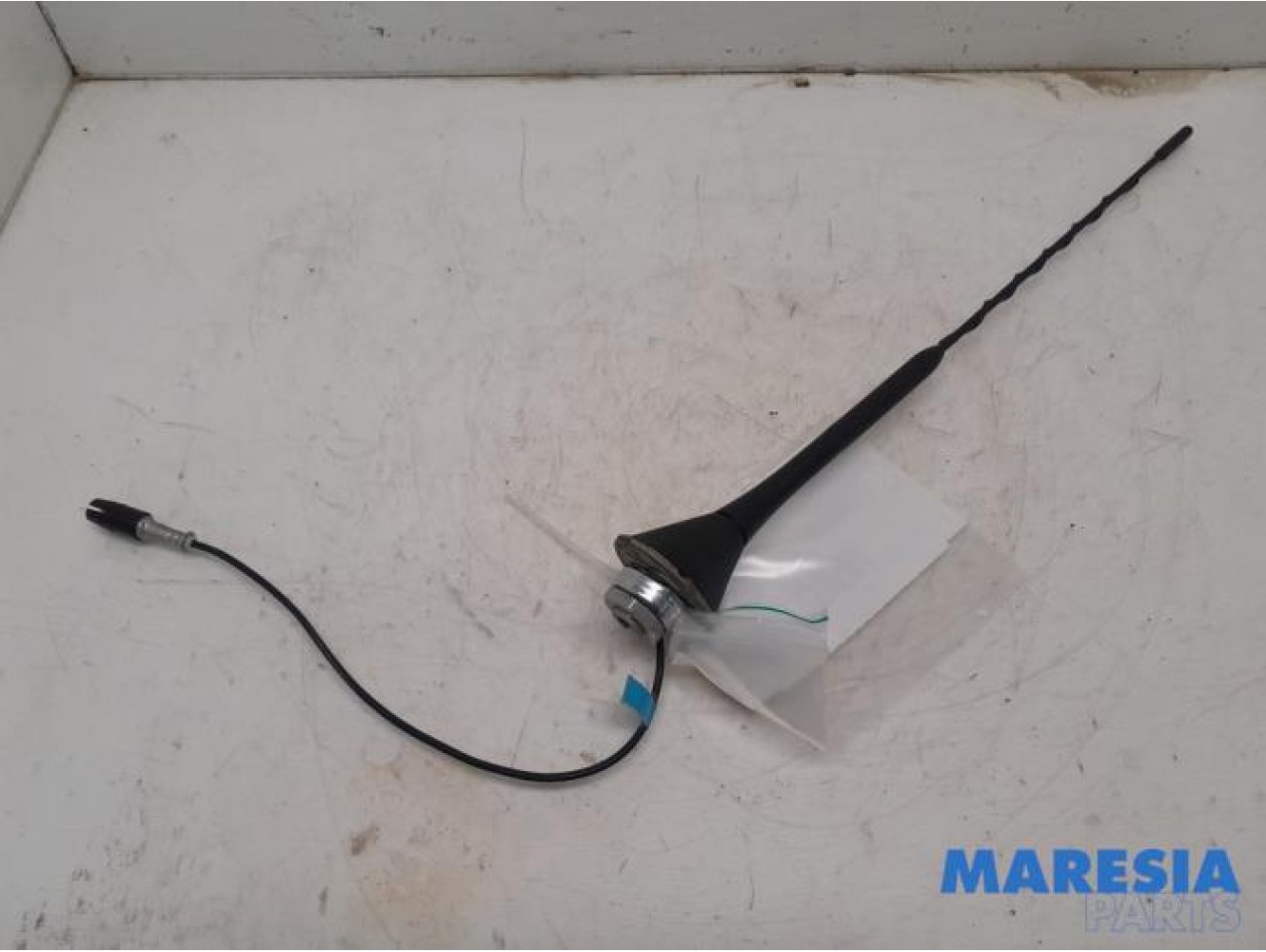 Fiat - 500 - Antenne