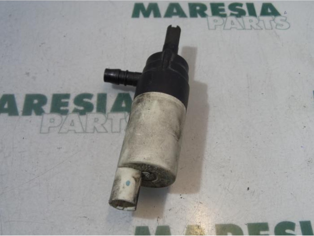 Renault - Laguna - Scheibensprüherpumpe vorne