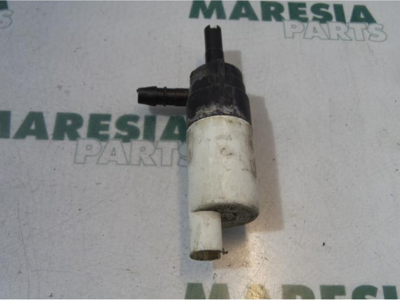 Renault - Laguna - Scheibensprüherpumpe vorne