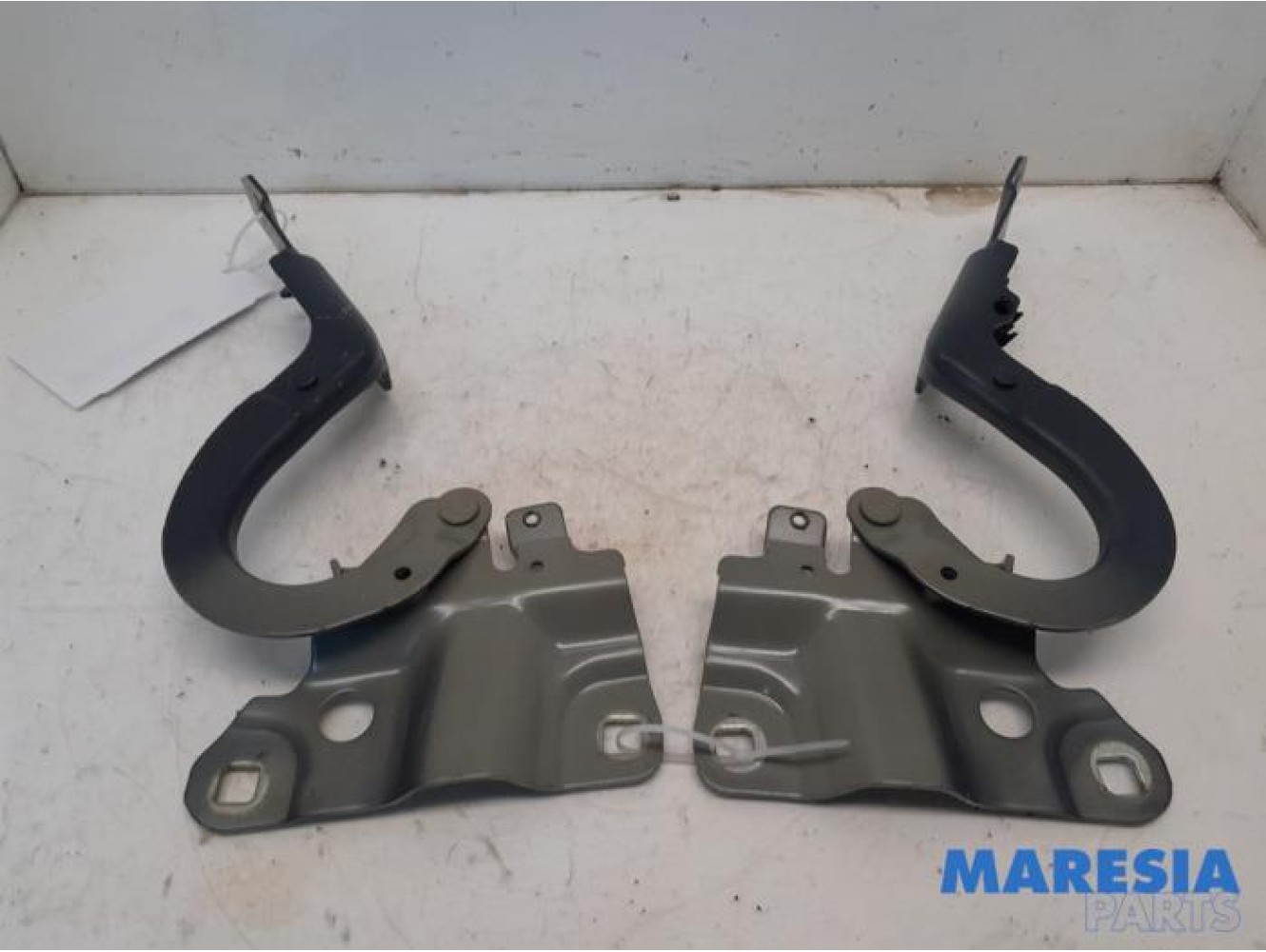Renault - ZOE - Bonnet Hinge