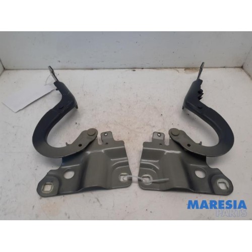 Renault - ZOE - Bonnet Hinge