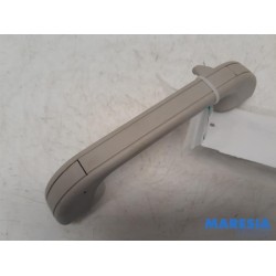 Fiat - Ducato - Handle