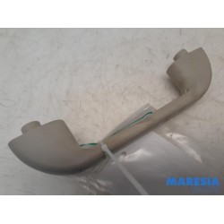 Fiat - Ducato - Handle