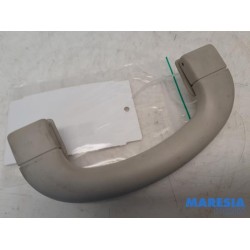 Fiat - Ducato - Handle