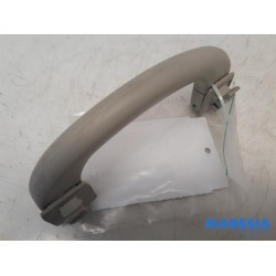 Fiat - Ducato - Handle