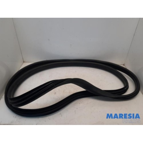 Renault - ZOE - Front door seal 4-door, right