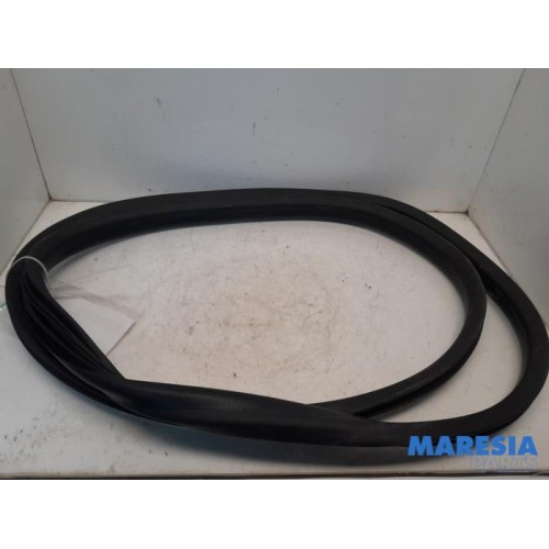 Renault - ZOE - Rear door seal 4-door, left
