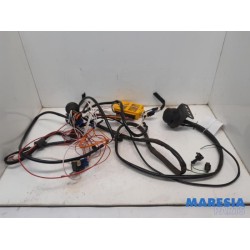 Renault - Scenic - Towbar wiring kit