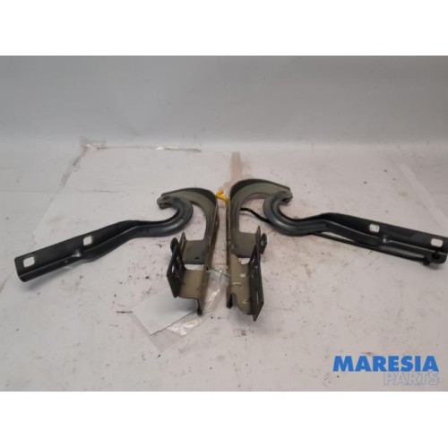 Peugeot - 3008 - Bonnet Hinge