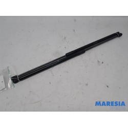 Citroen - C4 Picasso - Set of tailgate gas struts