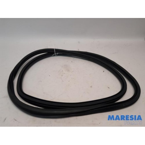 Citroen - C4 Picasso - Front door seal 4-door, right