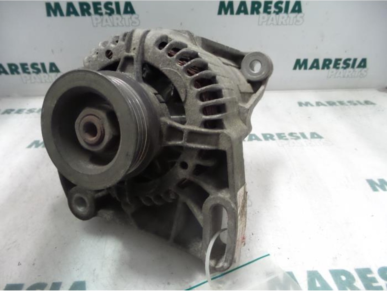 Fiat - Punto - Dynamo