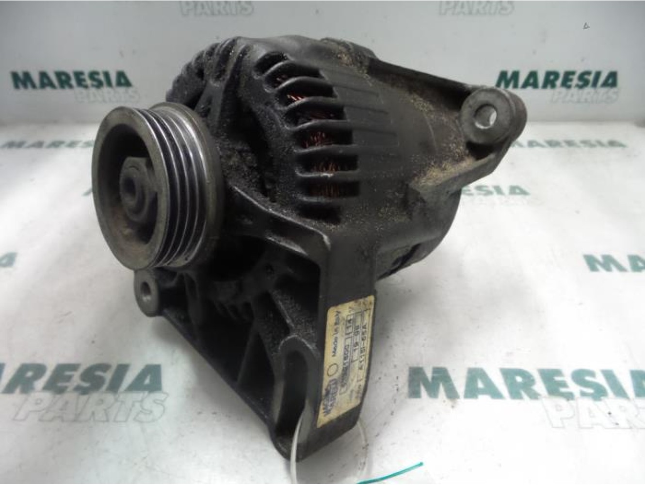 Fiat - Punto - Dynamo