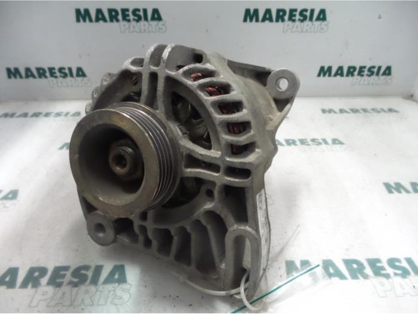 Fiat - Punto - Dynamo