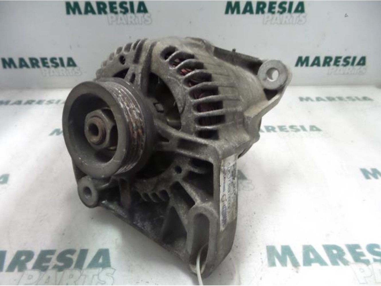Fiat - Punto - Dynamo