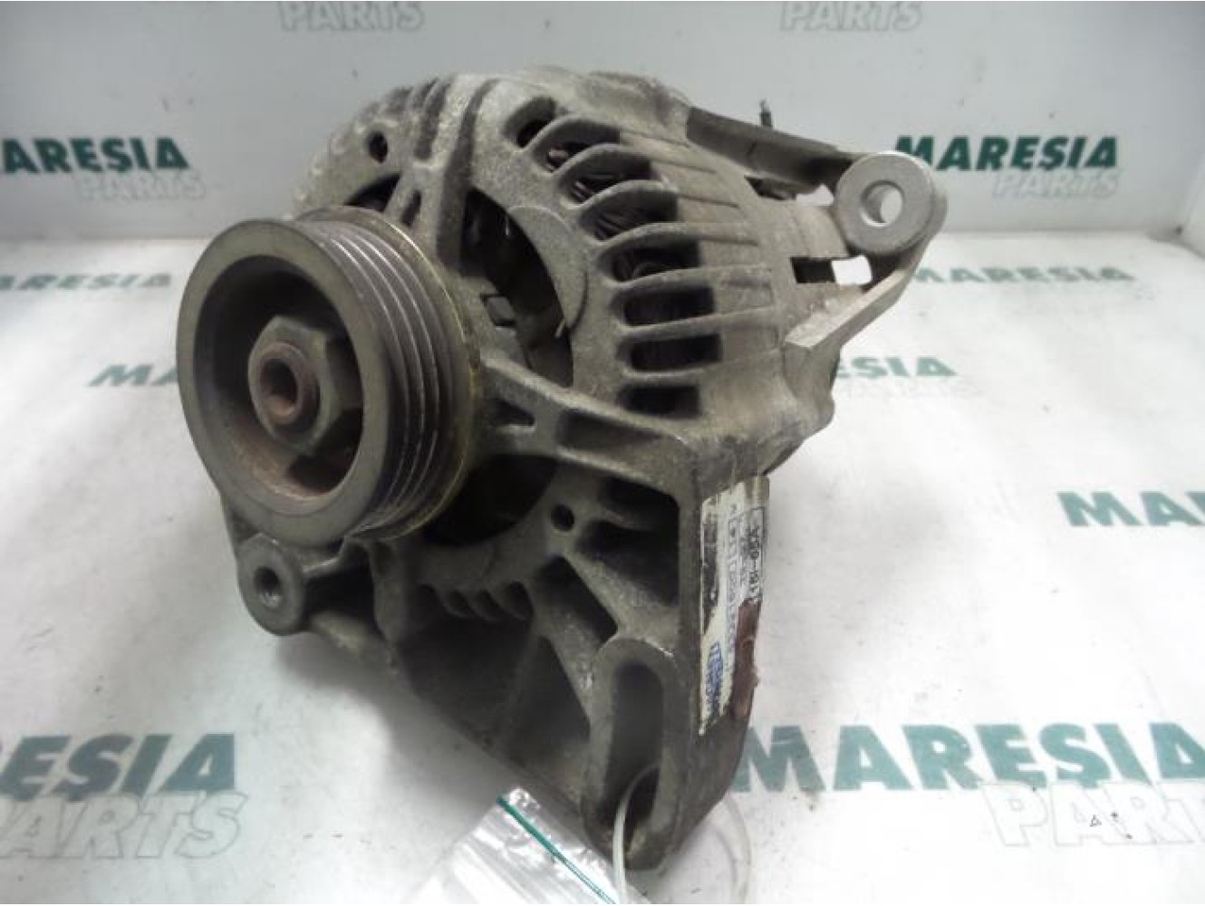 Fiat - Punto - Dynamo