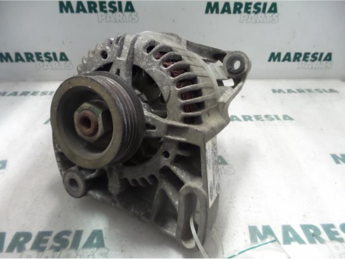 Fiat - Punto - Dynamo