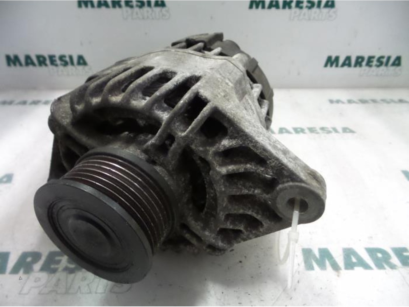 Fiat - Punto - Dynamo