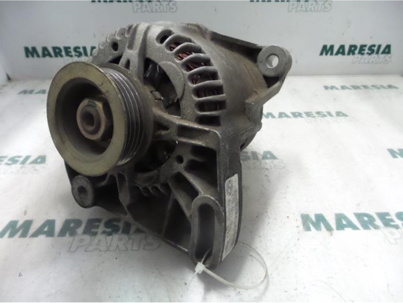 Fiat - Punto - Dynamo