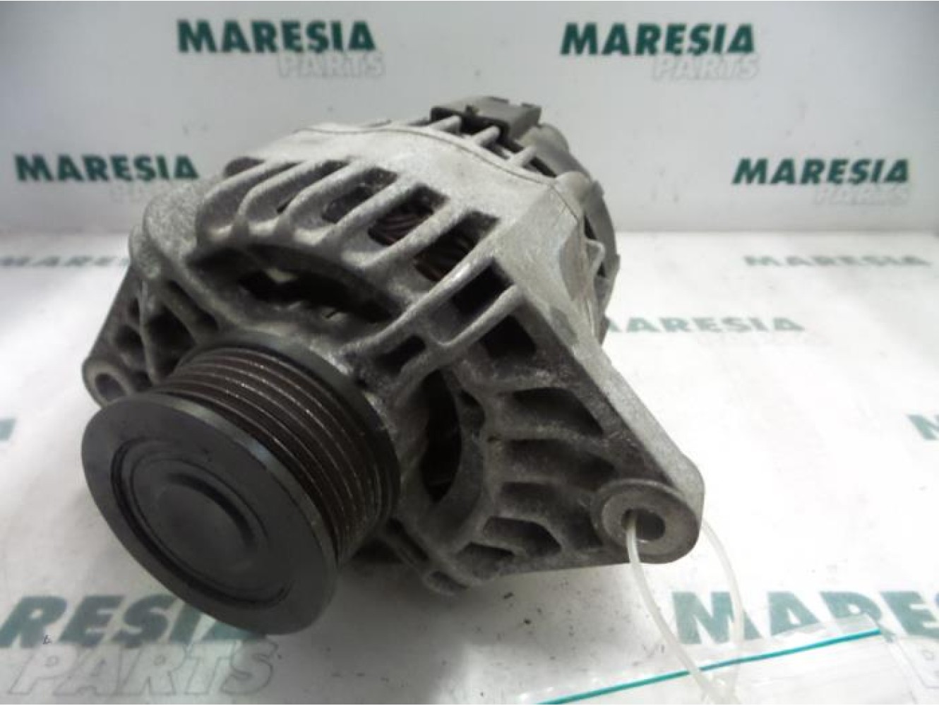 Fiat - Punto - Dynamo