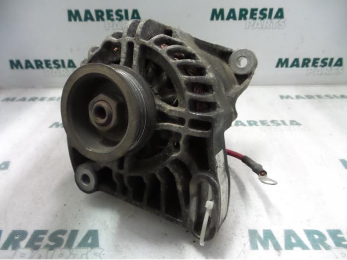 Fiat - Punto - Dynamo