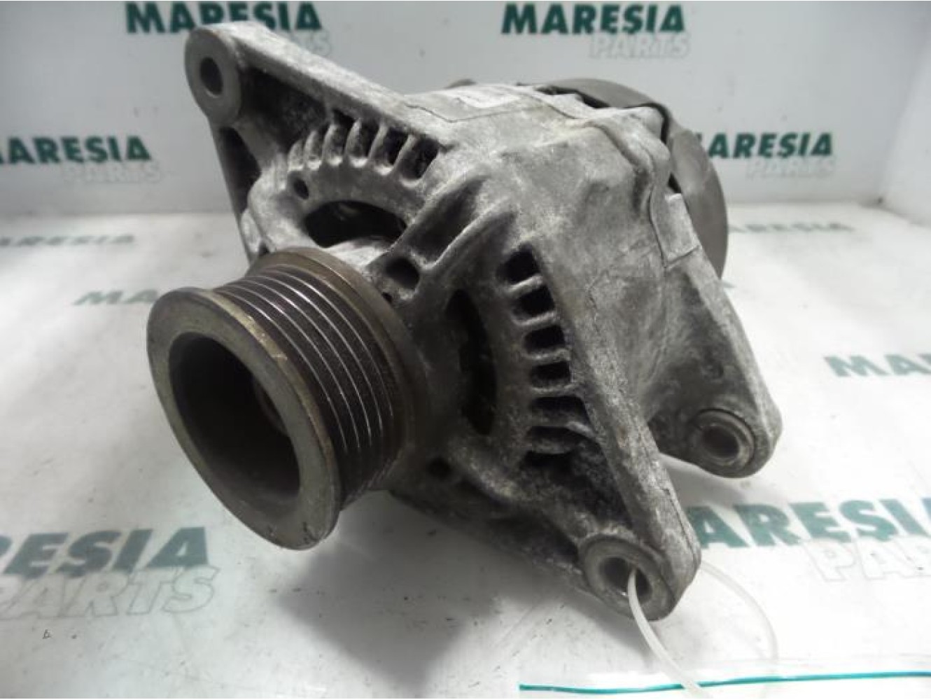 Fiat - Punto - Dynamo