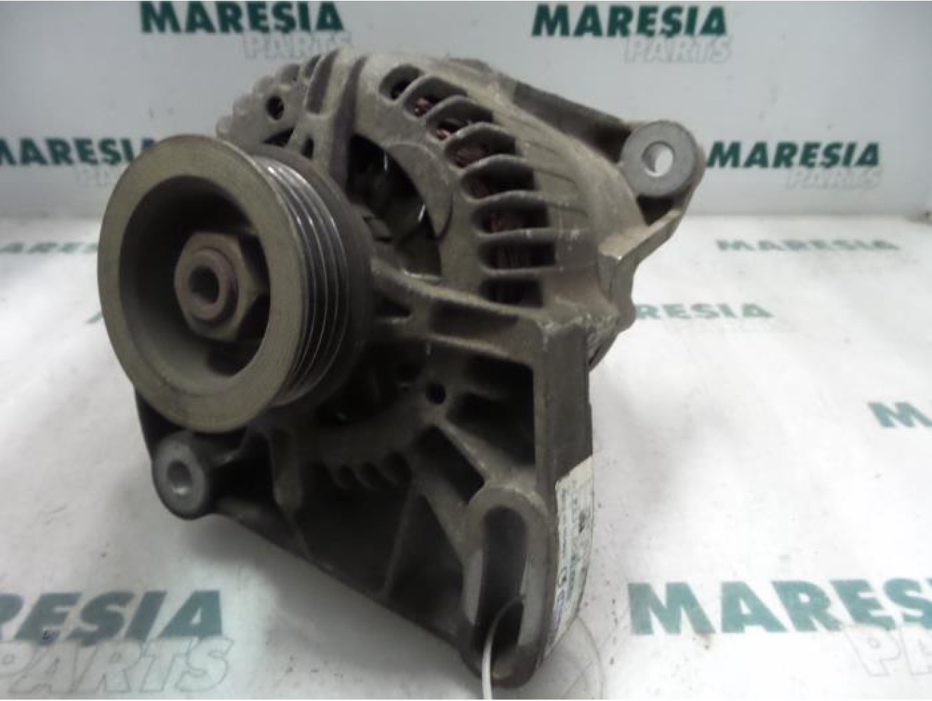 Fiat - Punto - Dynamo
