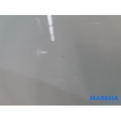 Citroen - DS3 - Front wing, left