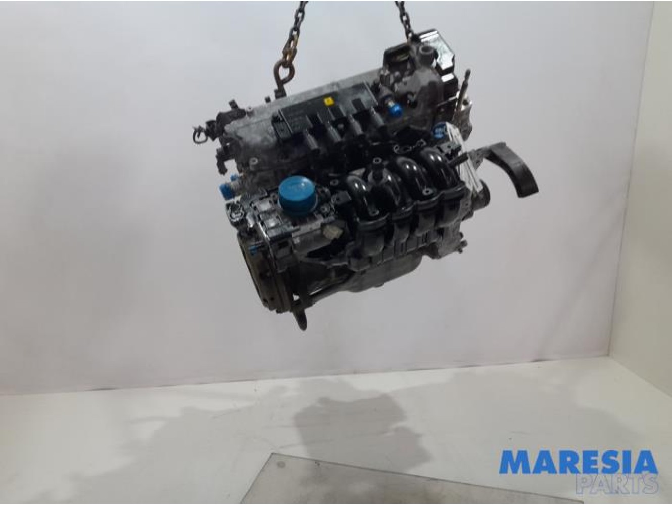 Fiat - Panda - Engine