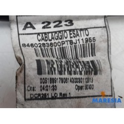 Fiat - Panda - Battery pole