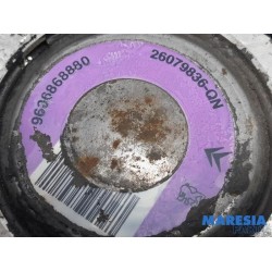 Peugeot - 206 - Pompe direction assistée
