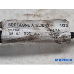 Peugeot - 208 - Accu sensor