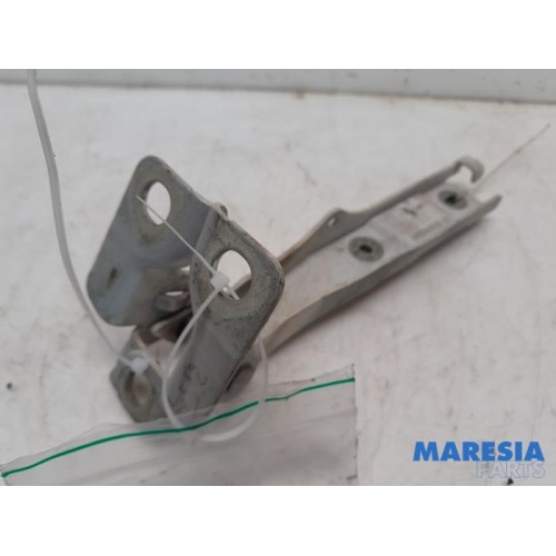 Citroen - DS3 - Bonnet Hinge