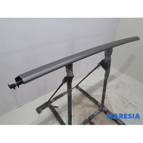 Citroen - C4 Grand Picasso - Roof strip, left