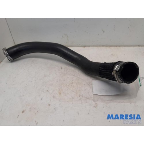 Citroen - Jumpy - Intercooler hose