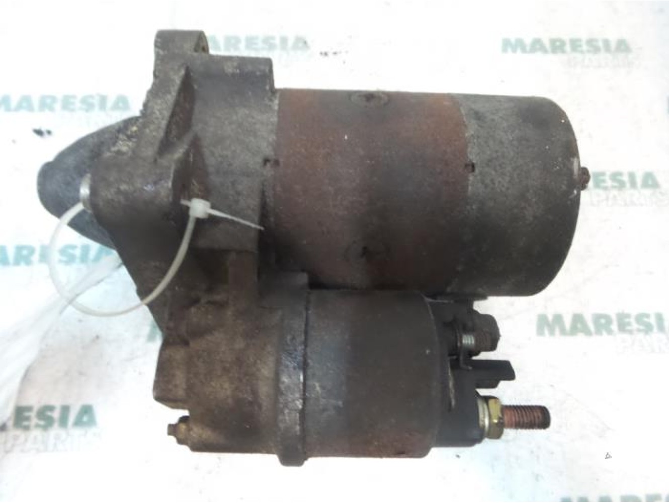 Fiat - Palio - Startmotor