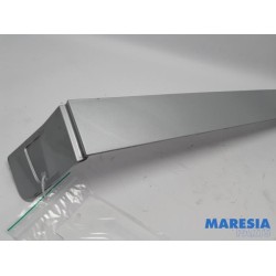 Peugeot - Expert - Sierstrip