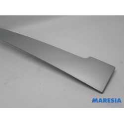 Peugeot - Expert - Sierstrip