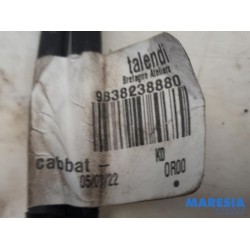 Citroen - Jumpy - Battery sensor