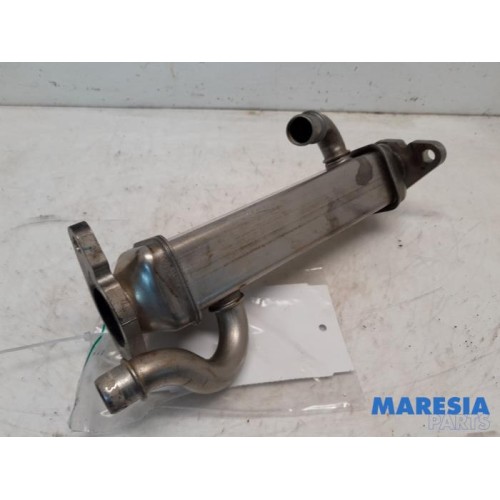 Fiat - Ducato - EGR cooler
