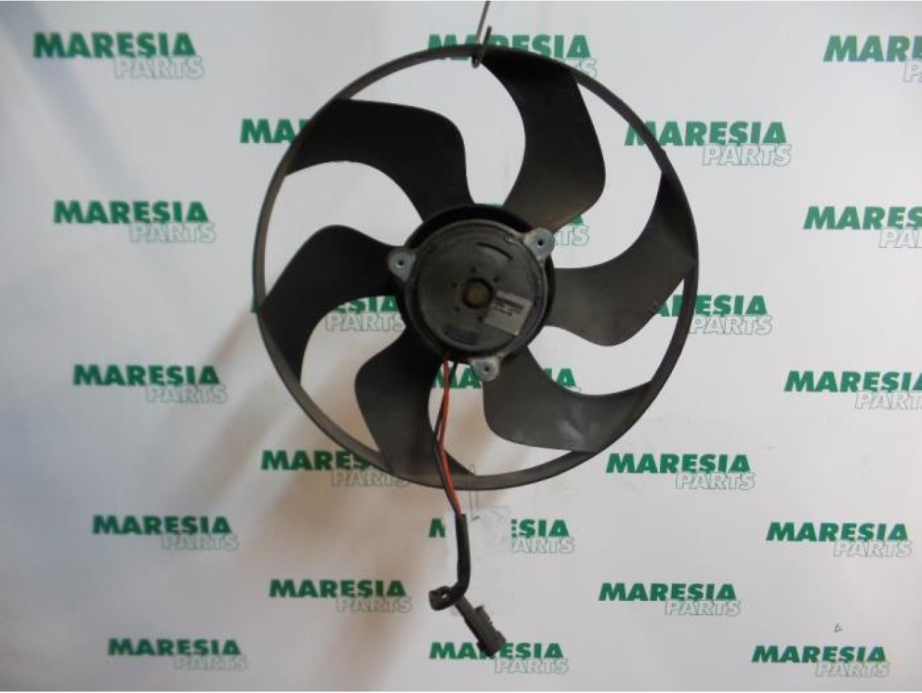 Peugeot - 307 - Fan motor