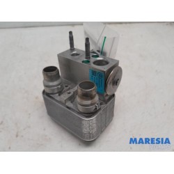 Citroen - C4 - Expansieklep airco