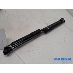 Fiat - Talento - Set of bonnet gas struts