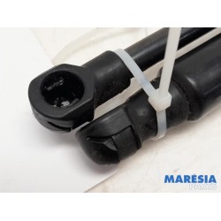 Fiat - Talento - Set of bonnet gas struts