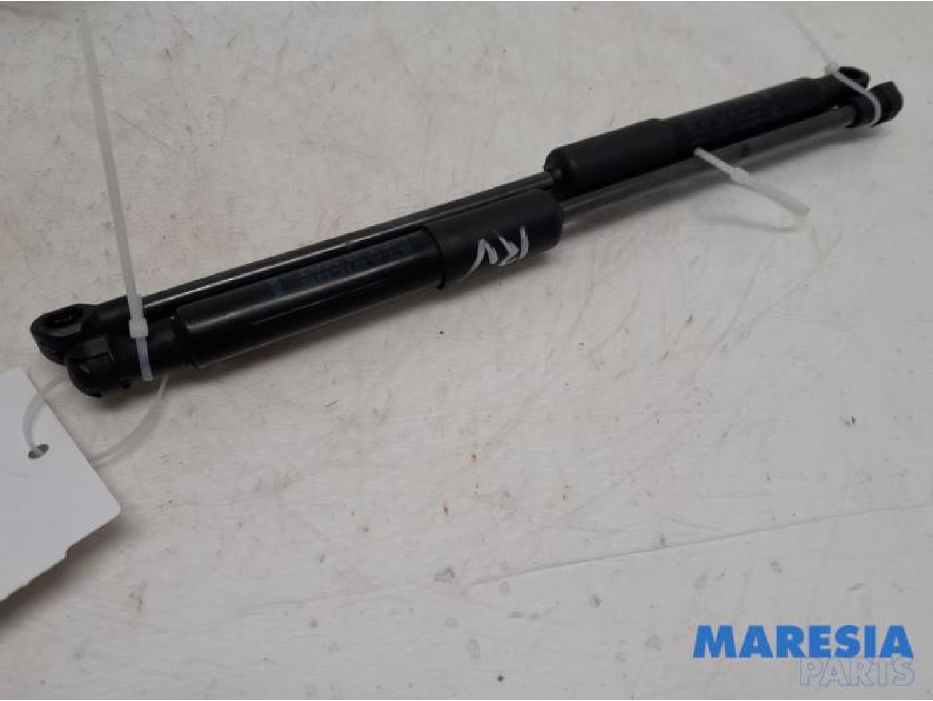 Fiat - Talento - Set of bonnet gas struts