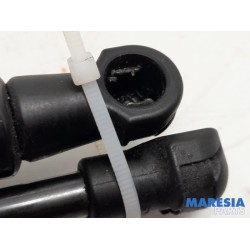 Fiat - Talento - Set of bonnet gas struts