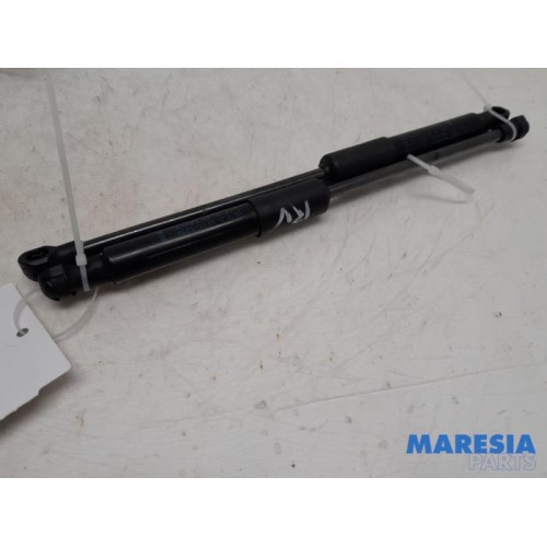 Fiat - Talento - Set of bonnet gas struts