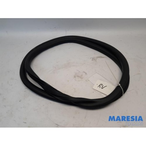 Citroen - C4 - Front door seal 4-door, right
